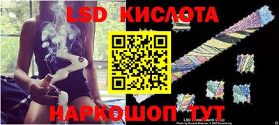 PSILOCYBIN Гусь-Хрустальный