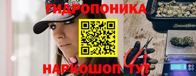 PSILOCYBIN Гусь-Хрустальный