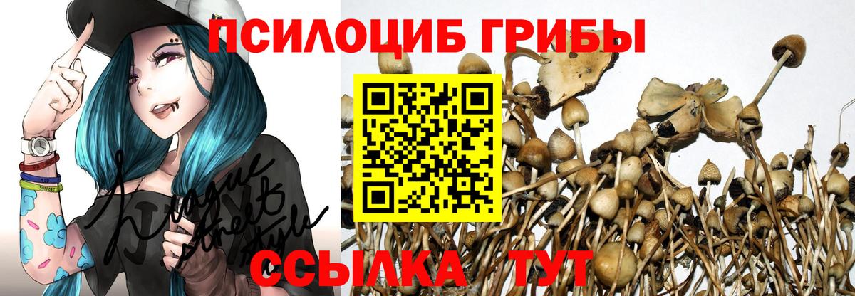 Псилоцибиновые грибы Psilocybine cubensis  сколько стоит  Нижнекамск  Вход с VPN  Галлюциногенные грибы ЛСД 